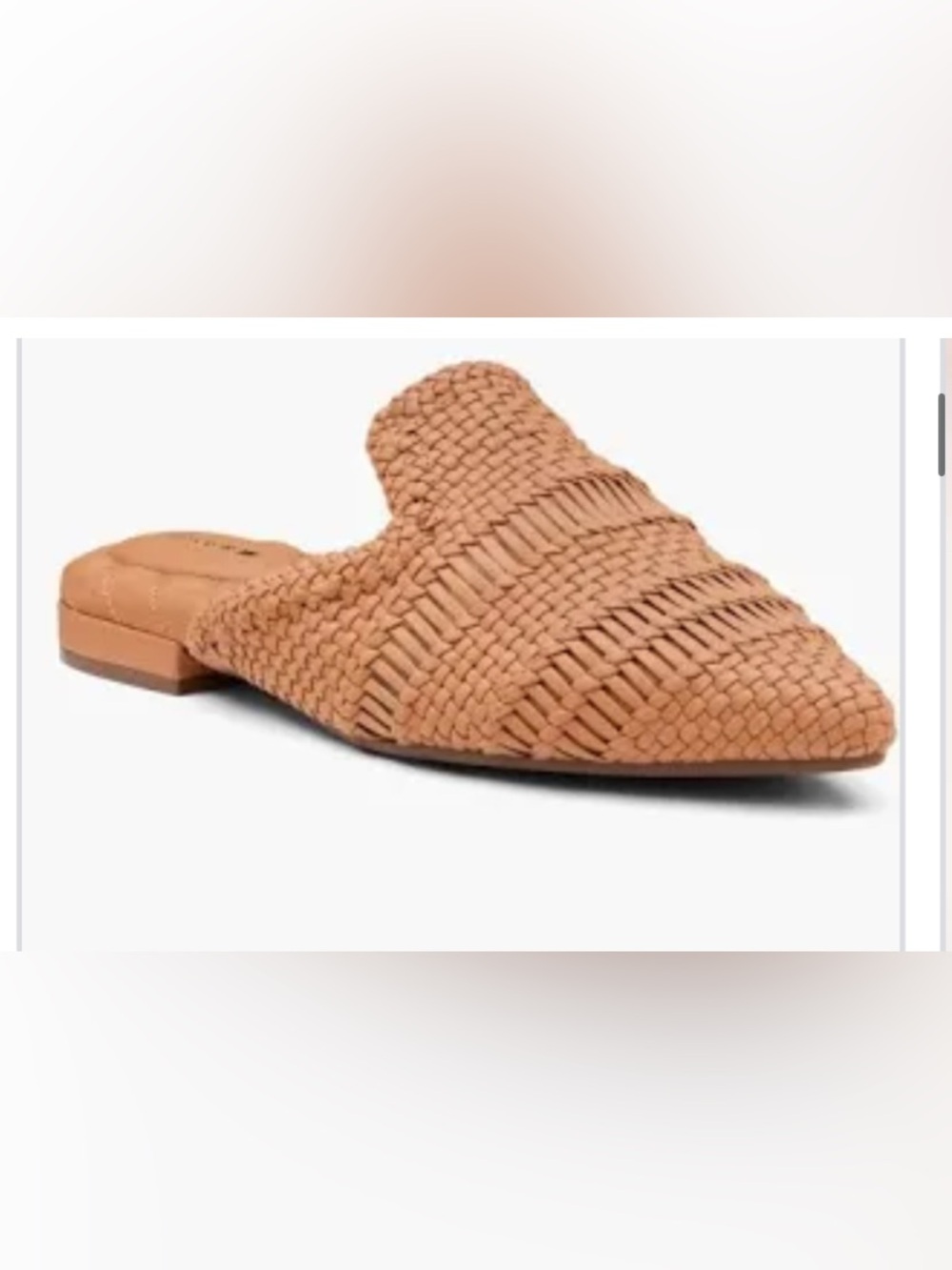 Birdies The Dove Woven Slide Mules Pointed Toe